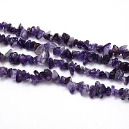 Natural Amethyst Beads Strands, Chips, 8~20x8~18mm, Hole: 1mm, about 31.5 inch(X-G-O049-C-23)