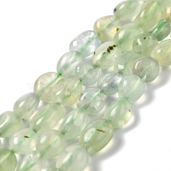 Natural Prehnite Beads Strands, Tumbled Stone, Nuggets, Grade A, 7.5~9x7.5~8x3.5~6mm, Hole: 1mm, about 44pcs/strand, 15.16~15.75 inch(38.5~40cm)(G-F706-02B)