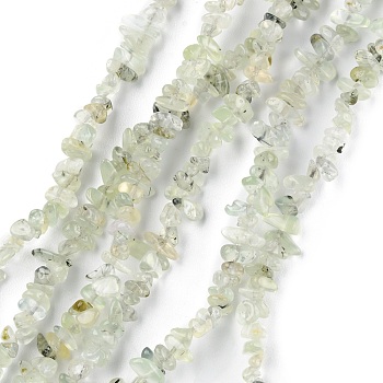 Natural Prehnite Beads Strands, Chip, 1.5~4.5x3~13x2.5~8mm, Hole: 0.6mm, 30.94~31.97 inch(78.6~81.2cm)
