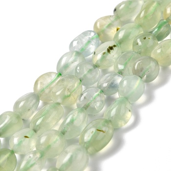 Natural Prehnite Beads Strands, Tumbled Stone, Nuggets, Grade A, 7.5~9x7.5~8x3.5~6mm, Hole: 1mm, about 44pcs/strand, 15.16~15.75 inch(38.5~40cm)