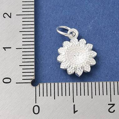 S925 Sterling Silver Charm(STER-H115-11C-S)-3