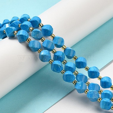 Dyed Natural Howlite Beads Strands(G-G023-B01-02A)-2