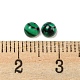 Synthetic Malachite Cabochons(G-H309-03-02)-3