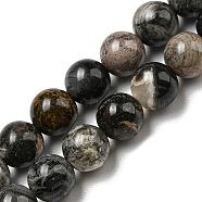 Natural Black Silver Leaf Jasper Beads Strands, Round, 6mm, Hole: 0.6mm, about 65pcs/strand, 15.59~15.67''(39.6~39.8cm)(G-R494-A17-02)