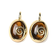 Natural Tiger Eye Oval Pendants, Ion Plating(IP) Golden Plated Brass Vortex Charms, 24x14x6mm, Hole: 4.5x2.5mm(G-K371-01G-02)