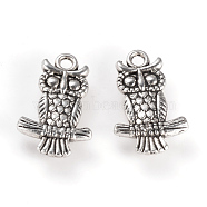 Tibetan Style Alloy Pendants, Owl, Cadmium Free & Nickel Free & Lead Free, Antique Silver, 19x12.5x3mm, Hole: 2mm(X-TIBEP-Q077-08AS-NR)