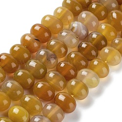 Natural Agate Beads Strands, Dyed & Heated, Egg, Goldenrod, 12~14x9~10mm, Hole: 1.4mm, about 19~20pcs/strand, 7.48 inch(19cm)(G-G021-03B-08)