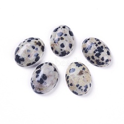 Natural Dalmatian Jasper Cabochons, Oval, 14~14.5x10~10.5x4~5mm(G-L511-E-02)