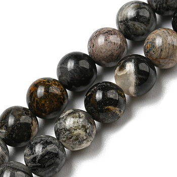 Natural Black Silver Leaf Jasper Beads Strands, Round, 6mm, Hole: 0.6mm, about 65pcs/strand, 15.59~15.67''(39.6~39.8cm)