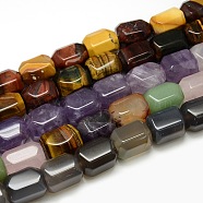 Natural Faceted Gemstone Column Beads Strands, 20~22x15~17x15mm, Hole: 1.8~3mm, about 19pcs/strand, 15.35 inch(G-L174-M)