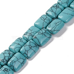 Synthetic Turquoise Beads Strands, Rectangle, 18x13.5x5.5mm, Hole: 1.2mm, about 22pcs/strand, 15.75 inch(40cm)(G-T047-B12-01)