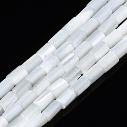 Natural Freshwater Shell Beads Strands, Column, White, 4~5x3~3.5mm, Hole: 0.9mm, about 77~78pcs/strand, 15.55 inch~15.75 inch(39.5~40cm)(X-SHEL-N003-26-A01)