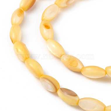 Natural Freshwater Shell Dyed Beads Strands(SHEL-M018-13-09)-3