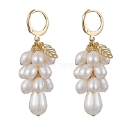 Golden 304 Stainless Steel Leverback Earrings, Natural Pearl Cluster Earrings, Seashell Color, 48~48.5x20mm(EJEW-TA00343)