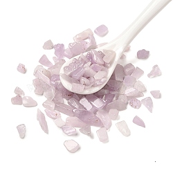 Natural Kunzite Chip Beads, No Hole/Undrilled, 5~18x5~8x2~6mm, about 5000pcs/1000g(G-Q193-03A)