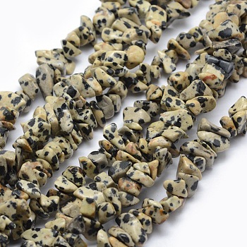 Natural Dalmatian Jasper Beads Strands, Chip, 5~8mm, Hole: 1mm, about 33 inch(84cm)