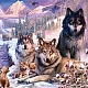 Наборы алмазной живописи с изображением волка и пейзажа своими руками(DIAM-PW0001-252J)-1