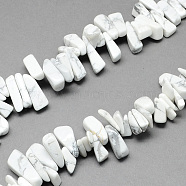 Natural Howlite Stone Bead Strands, Nuggets, White, 12~20x6~10x3~10mm, Hole: 1mm, about 104pcs/strand, 15.7 inch(G-R191-08)