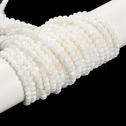 Natural Freshwater Shell Beads Strands, Round, White, 3mm, Hole: 0.5mm, about 125~128pcs/strand, 14.5~14.65''(37~37.2cm)(BSHE-H109-03A)