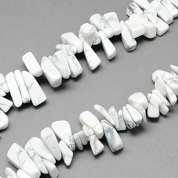 Natural Howlite Stone Bead Strands, Nuggets, White, 12~20x6~10x3~10mm, Hole: 1mm, about 104pcs/strand, 15.7 inch