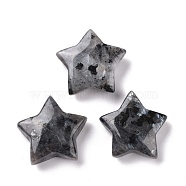 Natural Labradorite Beads, No Hole, Star, 24x25x8mm(G-P469-12A-05)