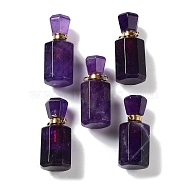 Natural Amethyst Perfume Bottle Pendants, Rectangle Essentail Oil Diffuser Faceted Bottle Charms with Golden Tone Stainless Steel Findings, for Jewelry Making, 35.5~36x16x15~15.5mm, Hole: 1.6mm(G-A026-16B-02)