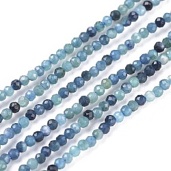 Natural Blue Tourmaline Beads Strand, Round, Faceted, 2mm, Hole: 0.5mm, about 185~230pcs/strand, 15.35 inch(39cm)(G-R475-027)