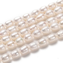 Natural Cultured Freshwater Pearl Beads Strands, Rice, Bisque, 7~8x6mm, Hole: 0.7mm, about 48pcs/strand, 14.96 inch(38cm)(PEAR-L033-70-01)