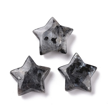 Natural Labradorite Beads, No Hole, Star, 24x25x8mm