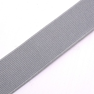 Ultra Wide Thick Flat Elastic Band, Webbing Garment Sewing Accessories, Silver, 30mm(X1-EC-WH0016-A-S013)