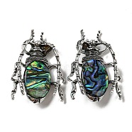 Dual-use Items Alloy Insects Brooch, with Natural Paua Shell, Antique Silver, Colorful, 49.5x35.5x15~16mm, Hole: 4x2.5mm(JEWB-C026-05M-AS)