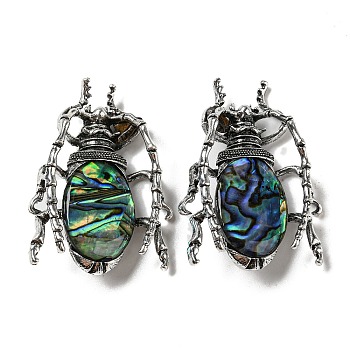 Dual-use Items Alloy Insects Brooch, with Natural Paua Shell, Antique Silver, Colorful, 49.5x35.5x15~16mm, Hole: 4x2.5mm