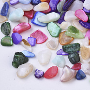 Natural Freshwater Shell Beads, No Hole/Undrilled, Chips, Dyed, Shell Shards, Mixed Color, 3~12x1~6x0.5~5mm(X-SHEL-N003-03)