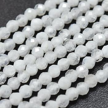Natural Rainbow Moonstone Beads Strands, Round, Faceted, 2mm, Hole: 0.4mm, about 192pcs/Strand, 15.16 inch(38.5cm)