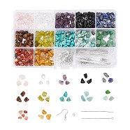 150G 12 Style DIY Dangle Earring Making Kits, Including Gemstone Chip Beads, Brass Earring Hooks & Flat Head Pins, 304 Stainless Steel Eye Pins & Open Jump Rings, Copper Wire, Elastic Crystal Thread, 12.5g/style(DIY-FS0001-08)