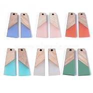 Resin & Wood Pendants, Trapezoid, Mixed Color, 30x12x3mm, Hole: 2mm(X-RESI-S358-59-M)