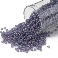 TOHO Round Seed Beads, Japanese Seed Beads, (166DF) Transparent AB Frost Light Tanzanite, 11/0, 2.2mm, Hole: 0.8mm, about 1110pcs/10g(X-SEED-TR11-0166DF)