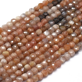 Natural Sunstone Beads  Strands, Faceted, Square, 4x4x4mm, Hole: 0.7mm, about 80pcs/strand, 15.55 inch(39.5cm)