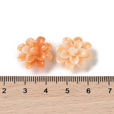 Synthetic Shell Dyed Beads(SHEL-C006-01A)-3