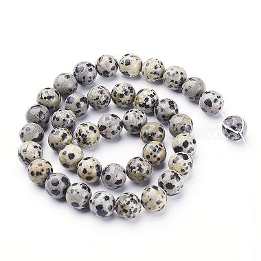 Natural Dalmatian Jasper Beads Strands(GSR10mmC004)-3