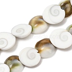 Natural Shiva Eye Shell Beads Strands, Half Round Shell Shape, Coconut Brown, 11.5~13.5x10.5~12.5x4~4.5mm, Hole: 0.5mm, about 40pcs/strand, 15.16''(38.5cm)(SHEL-G021-01A)