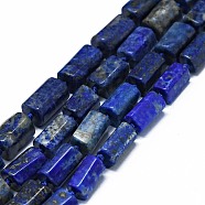 Natural Lapis Lazuli Beads Strands, Dyed, Cuboid, 11~13x6~8x6~8mm, Hole: 0.7mm, about 28~31pcs/strand, 15.94''~16.93''(40.5~43cm)(G-O170-100)