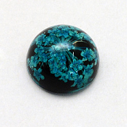 Resin Cabochons, Dome, Half Round, with Dried Flower inside, Teal, 11.5~12x6~6.5mm(X-RESI-S320-12mm-37)