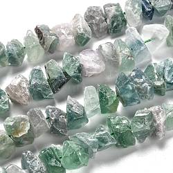 Rough Raw Natural Green Fluorite Beads Strands, Nuggets, 6~10x12~19x6~12mm, Hole: 1.2mm, about 49pcs/strand, 15.75 inch(40cm)(G-J388-03)