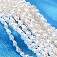 Teardrop Shell Pearl Bead Strands, White, 8x5mm, Hole: 0.8mm, about 55pcs/strand, 15.74 inch(BSHE-L015-5x8-01)