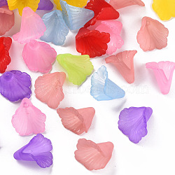 Transparent Acrylic Bead Caps, Trumpet Flower Beads, Frosted, Flower, Mixed Color, 18x18x17mm, Hole: 1.5mm, about 700pcs/500g(PL551M)