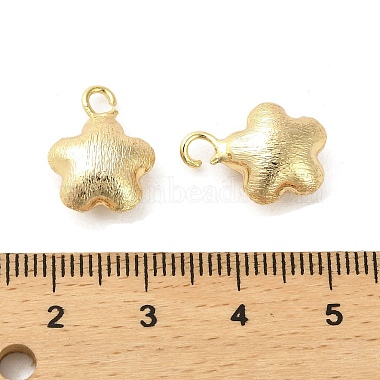 Brass Pendants(KK-P260-15G)-3