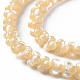 Natural Trochid Shell/Trochus Shell Bead Strands(SSHEL-N034-104-A01)-3