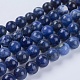 Natural Sodalite Beads Strands(G-G515-10mm-07)-1