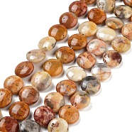 Flat Round Natural Crazy Lace Agate Beads Strands, Pale Goldenrod, 12x5mm, Hole: 1mm, about 33pcs/strand, 15.7 inch(G-S110-12mm-05)